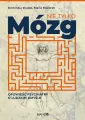 Nie tylko mózg. Opowieść psychiatry o ludzkim umyśle - tantis.pl