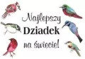 Magnes: Najlepszy Dziadek - tantis.pl