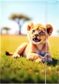 Teczka z gumką A4 Wild Animal mix - tantis.pl