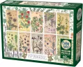 Puzzle 1000 Botanika - tantis.pl
