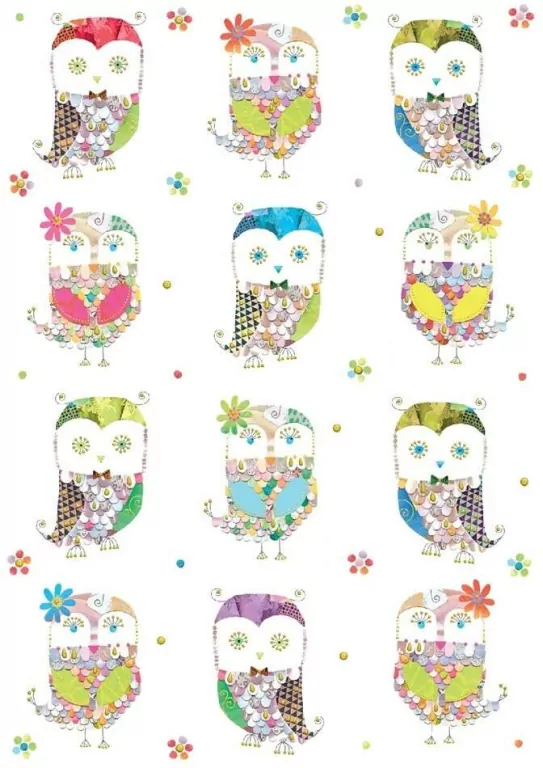 Karnet B6 + koperta: Sówki - tantis.pl