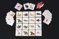 Pigasus BRAIN GAMES - tantis.pl