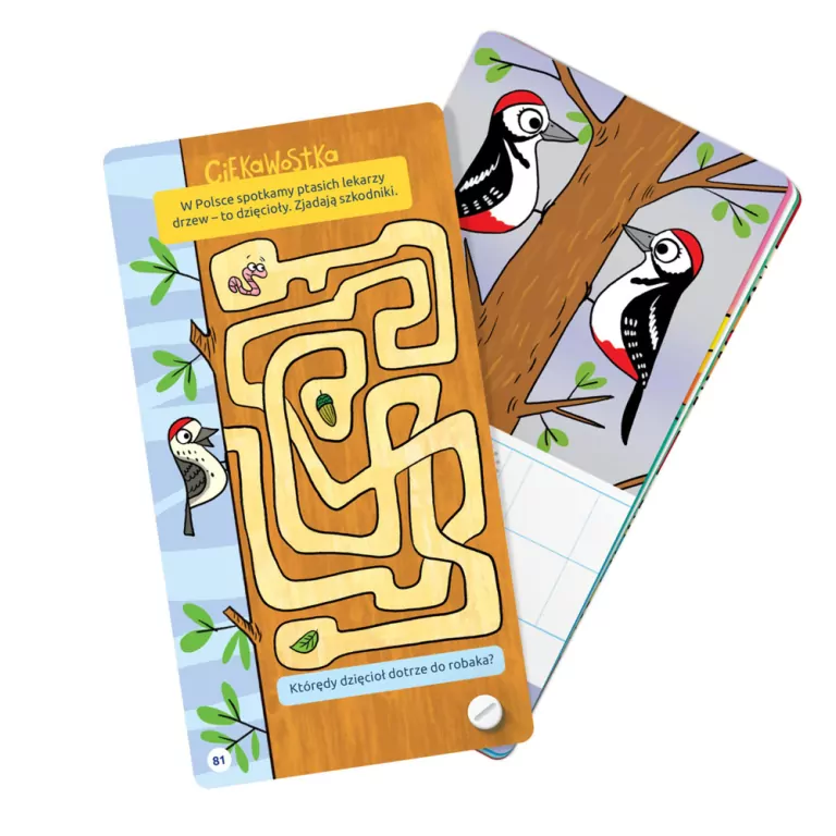 Czuczu. Fantastyczne gry logiczne - tantis.pl