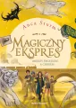 Magiczny ekspres. Między światłem, a cieniem. Część 2 - tantis.pl