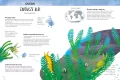 Sekretne życie roślin. Atlas bioróżnorodności - tantis.pl
