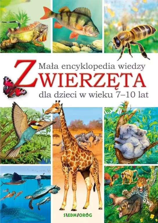Mała encyklopedia wiedzy. Zwierzęta - tantis.pl