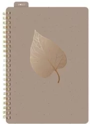 Kołozeszyt z gumką A5/80K linia brązowy