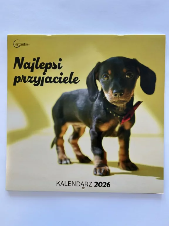 Kalendarz 2026 ścienny 30x30cm Psy - tantis.pl