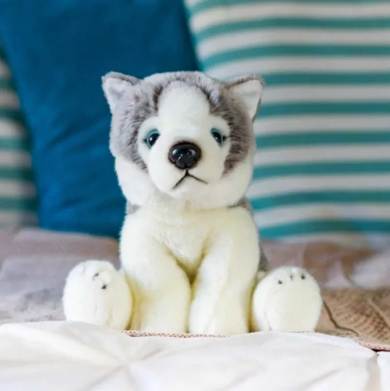 Pluszowy Husky - tantis.pl