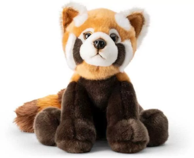 Czerwona Panda - tantis.pl