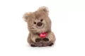 Kuoka Maximillian - tantis.pl