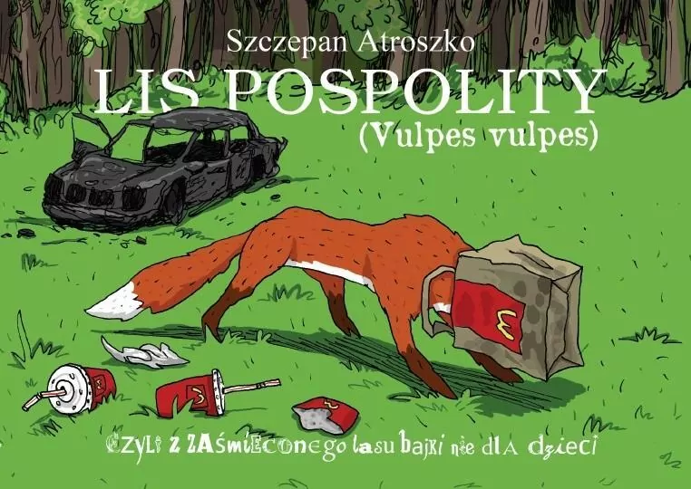 Lis pospolity - tantis.pl