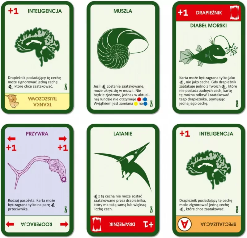 Gra Ewolucja dodatek - tantis.pl