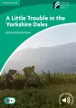 A Little Trouble in the Yorkshire Dales - tantis.pl