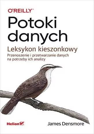 Potoki danych. Leksykon kieszonkowy - tantis.pl