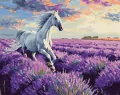 Malowanie po numerach - W lawendowych polach 40x50 - tantis.pl