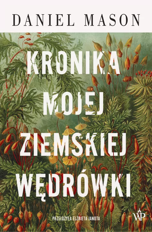Kronika mojej ziemskiej wędrówki - tantis.pl