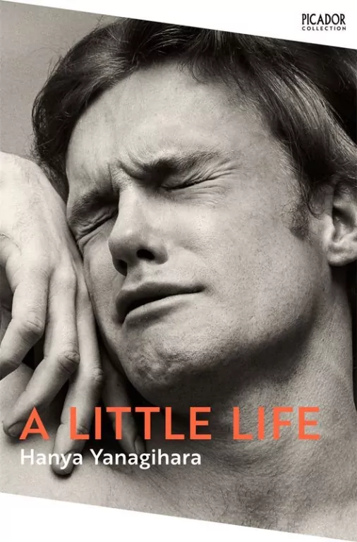 A Little Life - tantis.pl