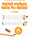 Nauka pisania krok po kroku. Cyferki - tantis.pl