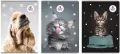 Zeszyt The sweet pets. A4/60K kratka. 5 sztuk - tantis.pl