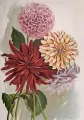 Karnet ST454 B6 + koperta Dalia - tantis.pl