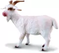 Kozioł - tantis.pl