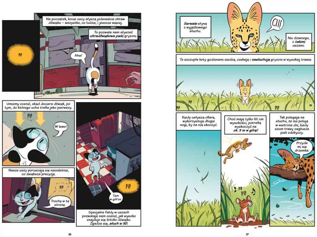 Koty. Natura i wychowanie. Naukomiks - tantis.pl