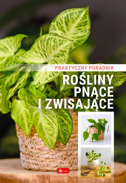 Rośliny pnące i zwisające. Poradnik praktyczny - tantis.pl