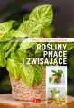 Rośliny pnące i zwisające. Poradnik praktyczny - tantis.pl