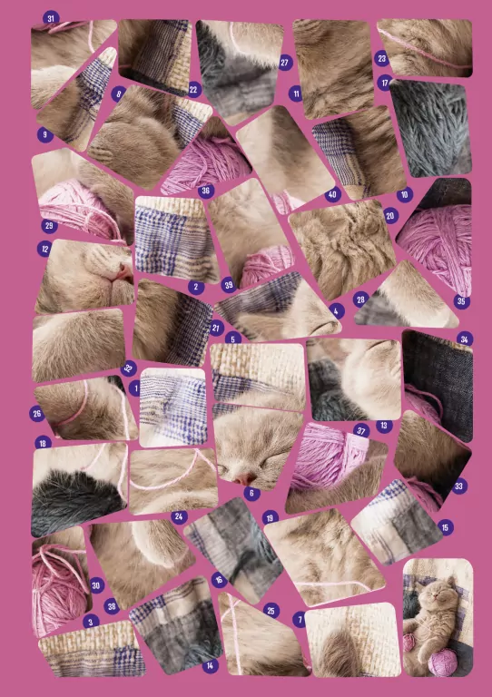 Słodkie kotki. Naklejkowe puzzle - tantis.pl