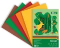 Blok Hobby Deco Forest A4 20 ark 5 kol HAPPY COLOR - tantis.pl