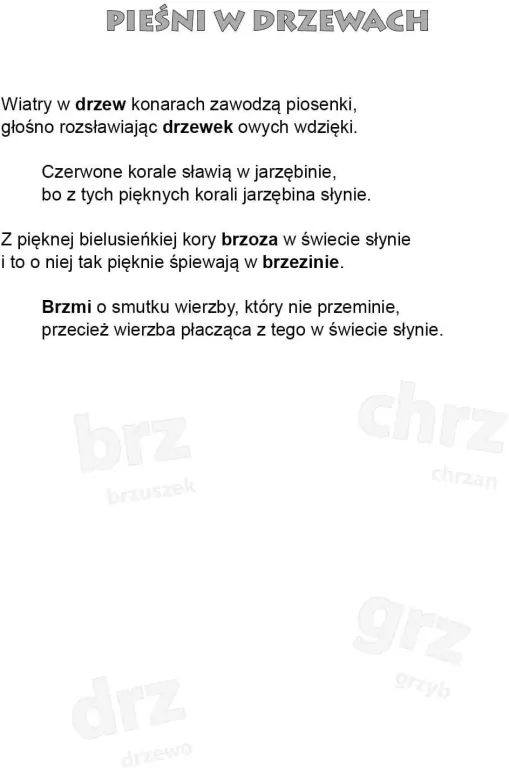 Ćwiczenia w terapii dysleksji i dysortografii rz-ż. Klasa 4-6 - tantis.pl