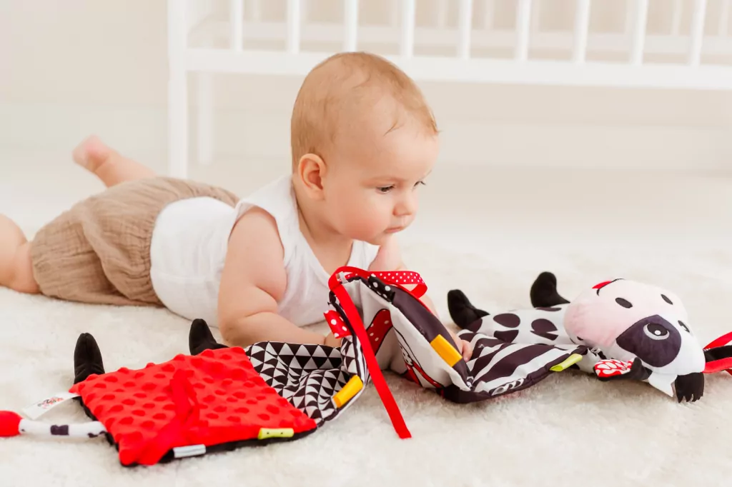 Książeczka - harmonijka krówka - tantis.pl