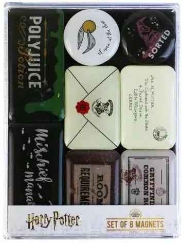 Harry Potter Magnesy zestaw - Artefakty Hogwartu - tantis.pl