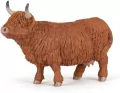 Krowa Highland Cattle - tantis.pl