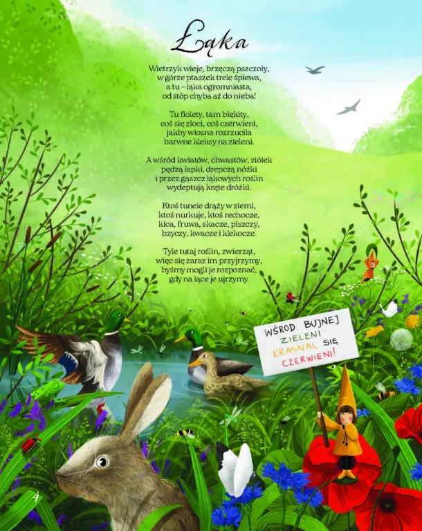 Łąka. Fakty, wierszyki i inne wybryki - tantis.pl