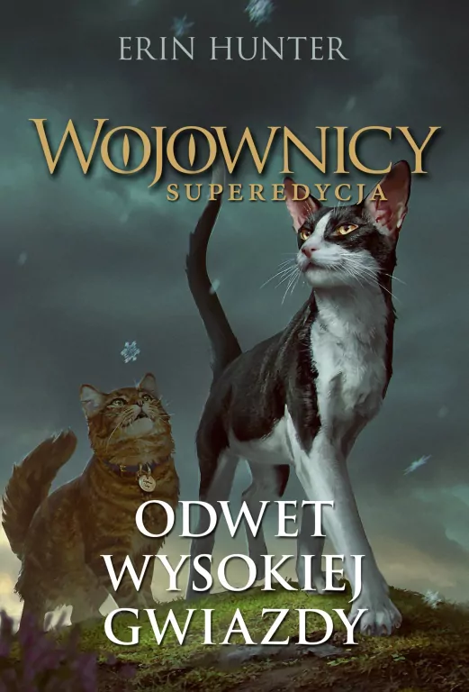 Odwet Wysokiej Gwiazdy. Wojownicy. Superedycja. Tom 4 - tantis.pl