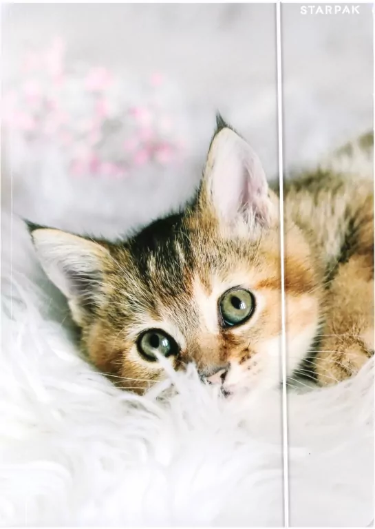 Teczka z gumką A4 Kotki mix - tantis.pl