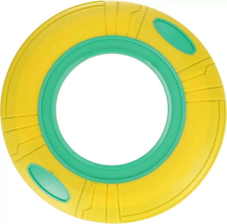 Dysk do rzucania dla Psa 25cm - tantis.pl