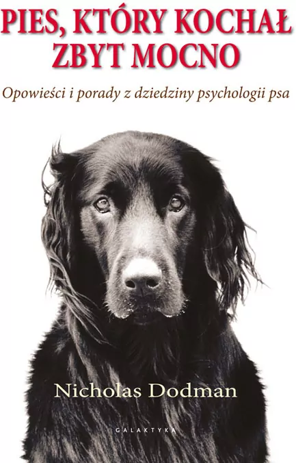 Pies, który kochał zbyt mocno - tantis.pl