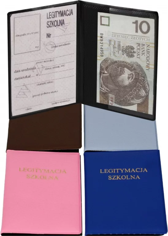 Okładka na dokumenty ucznia Dolaro - tantis.pl