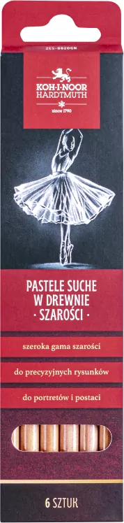 Pastele suche w drewnie. Szarości 6 szt. - tantis.pl