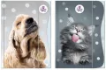 Teczka z gumką A4 The Sweet Pets - tantis.pl