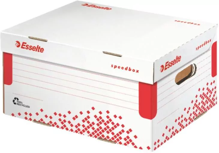 Esselte. Pudło Do Archiwizacji, 623911 - tantis.pl