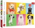 Puzzle 500. Psy - tantis.pl