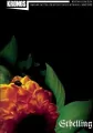 Kronos 2/2018 - tantis.pl