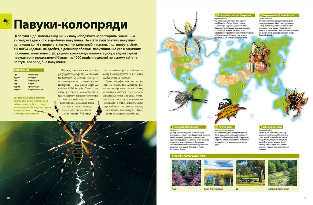 Велика книга комах - tantis.pl