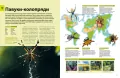 Велика книга комах - tantis.pl