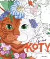 Leniwe koty (kolorowanka) - tantis.pl