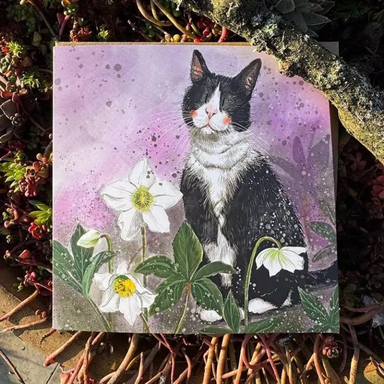 Karnet Kot i ciemierniki - tantis.pl